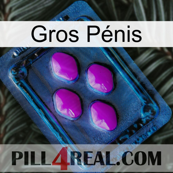 Gros Pénis 04